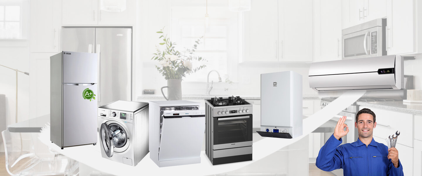 Bitlis Electrolux Servisi